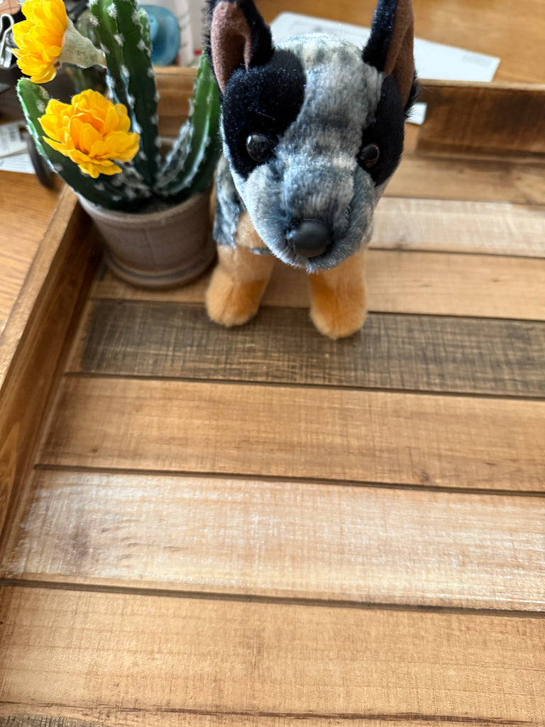 Stuffed Animal